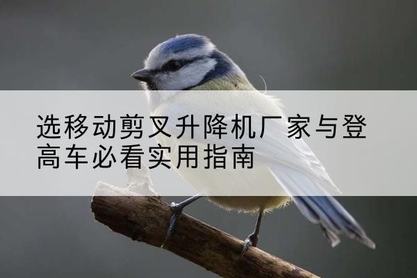 鹤岗电动升降机厂家-选移动剪叉升降机厂家与登高车必看实用指南