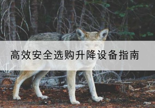 鹤岗升降货梯厂家推荐-*安全选购升降设备指南